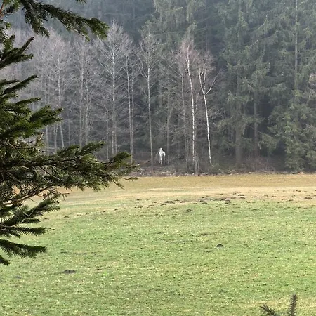 Auf Der Alm * Langschlag (Grafenschlag)