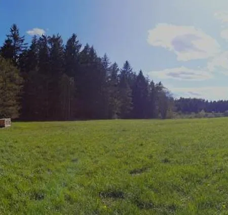 Auf Der Alm 乡村民宿 *