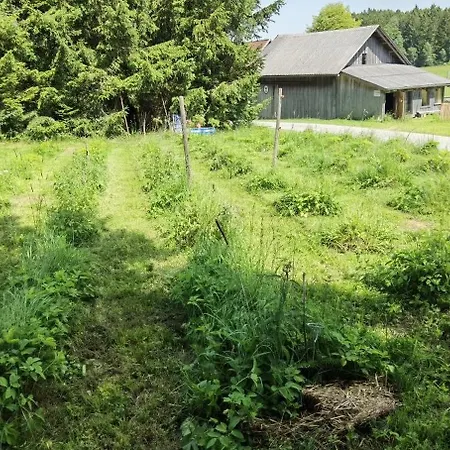 乡村民宿 Auf Der Alm Langschlag (Grafenschlag)