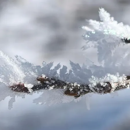 Auf Der Alm 乡村民宿