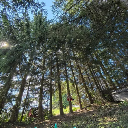 Country house Auf Der Alm *