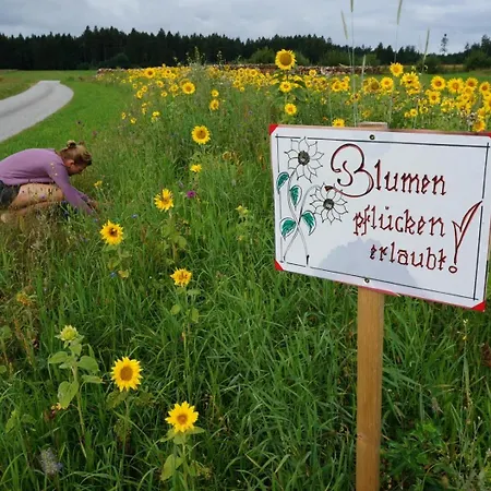 Auf Der Alm *