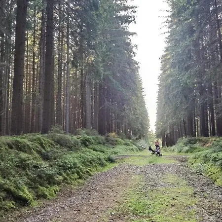 Auf Der Alm * Langschlag (Grafenschlag)