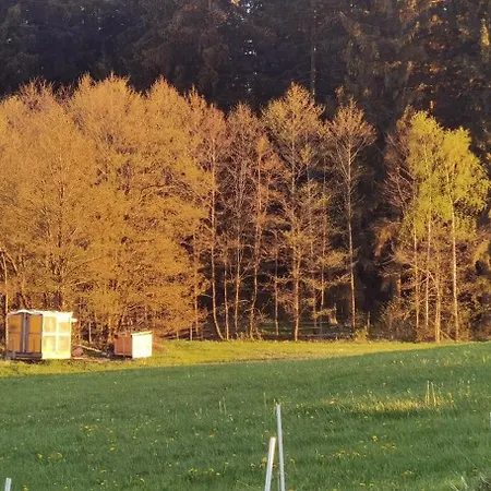 Auf Der Alm * Langschlag (Grafenschlag)