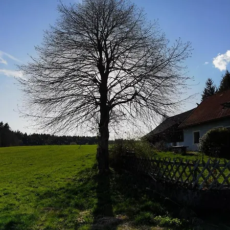 Auf Der Alm Langschlag (Grafenschlag)