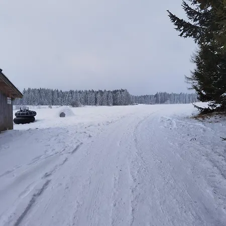 Auf Der Alm