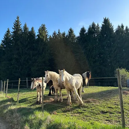 Auf Der Alm 乡村民宿 Langschlag (Grafenschlag)