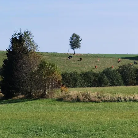 乡村民宿 Auf Der Alm Langschlag (Grafenschlag)